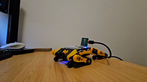 Promt> Hi, pupper! Let's Play!